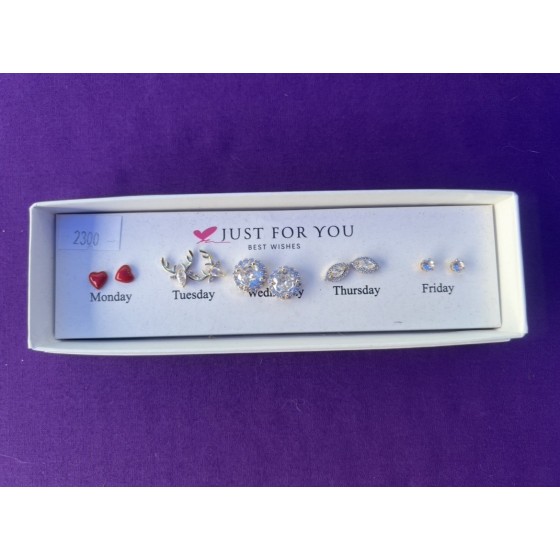 Boîte boucle d’oreille x5