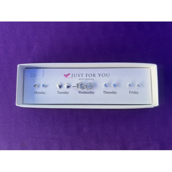 Boîte boucle d’oreille x5