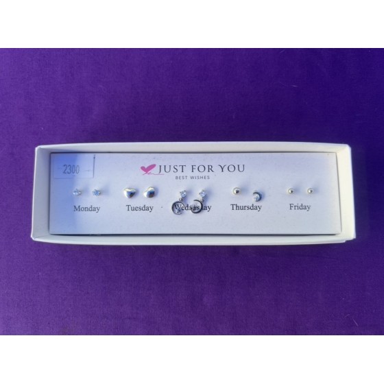 Boîte boucle d’oreille x5