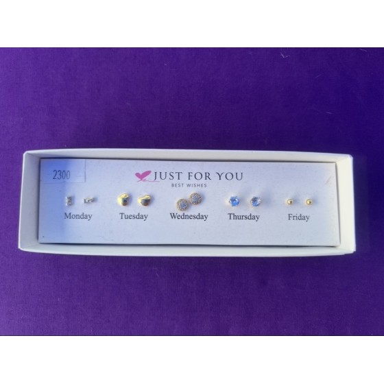 Boîte boucle d’oreille x5